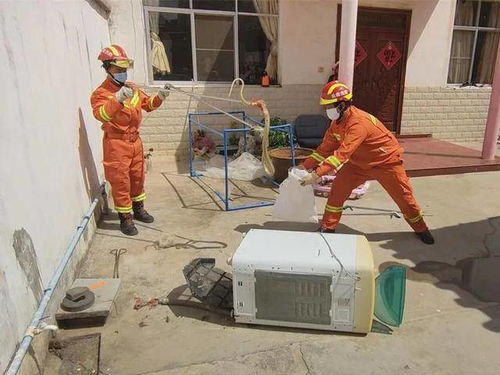 救援速遞丨紅河建水消防小麥廠村速擒擾民菜花蛇